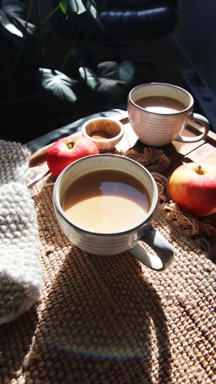 Apple Toddy